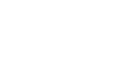 Moleskine